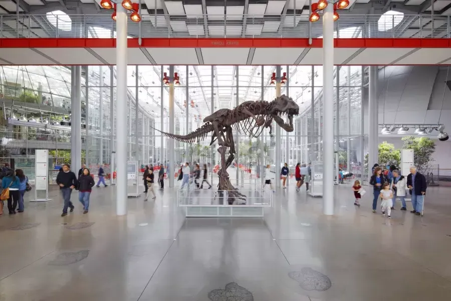 Dinosaur at the 加州科学院